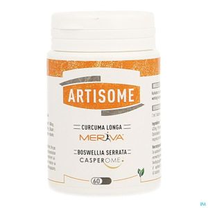 Dynarop Artisome 60 Tabl 1000 Mg